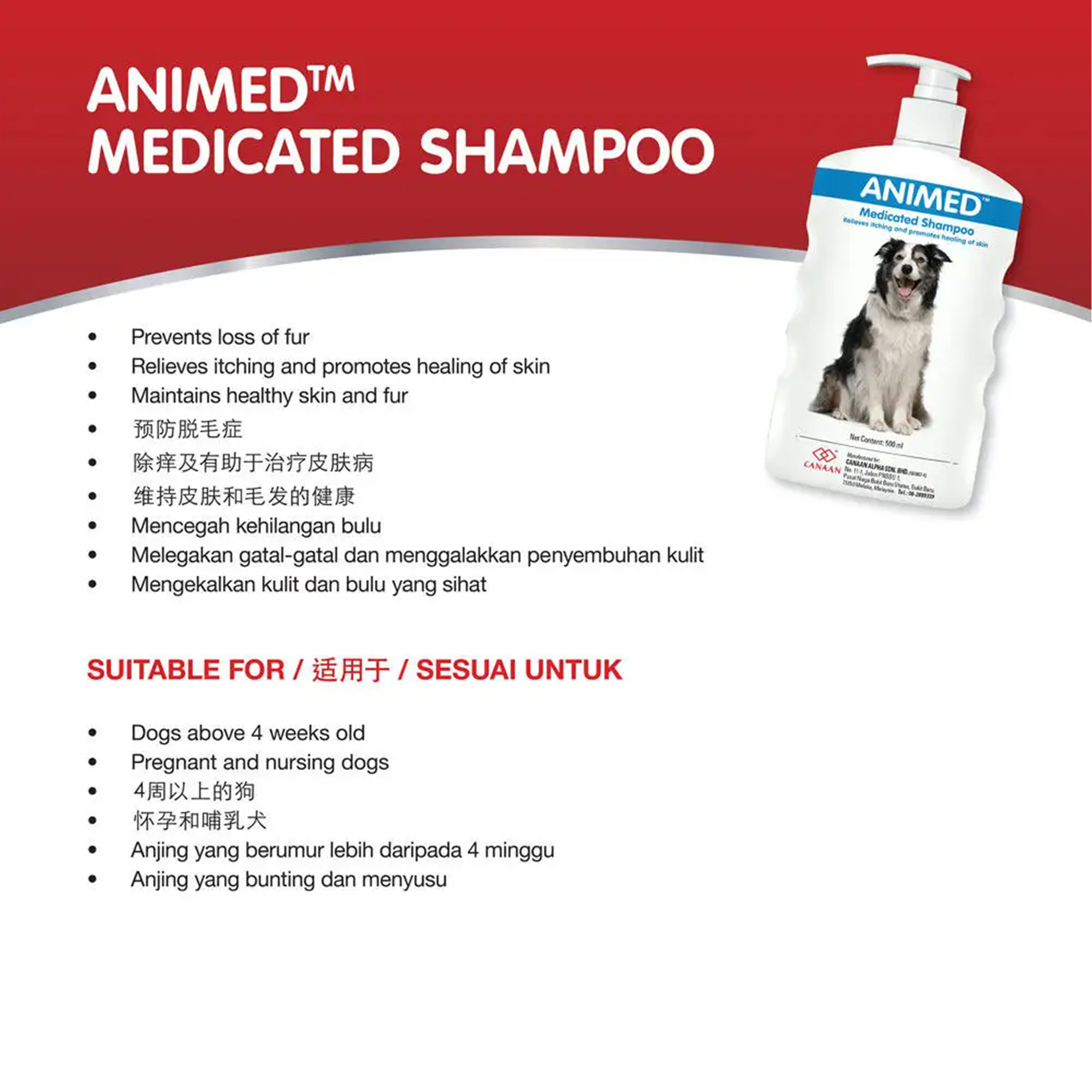 Premium Pet Grooming Shampoo Animed Medicated Formula for Dogs Healthy Coat Anti-Itch Solution