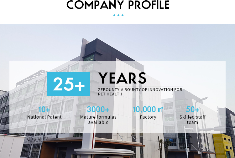 Factory Introduction