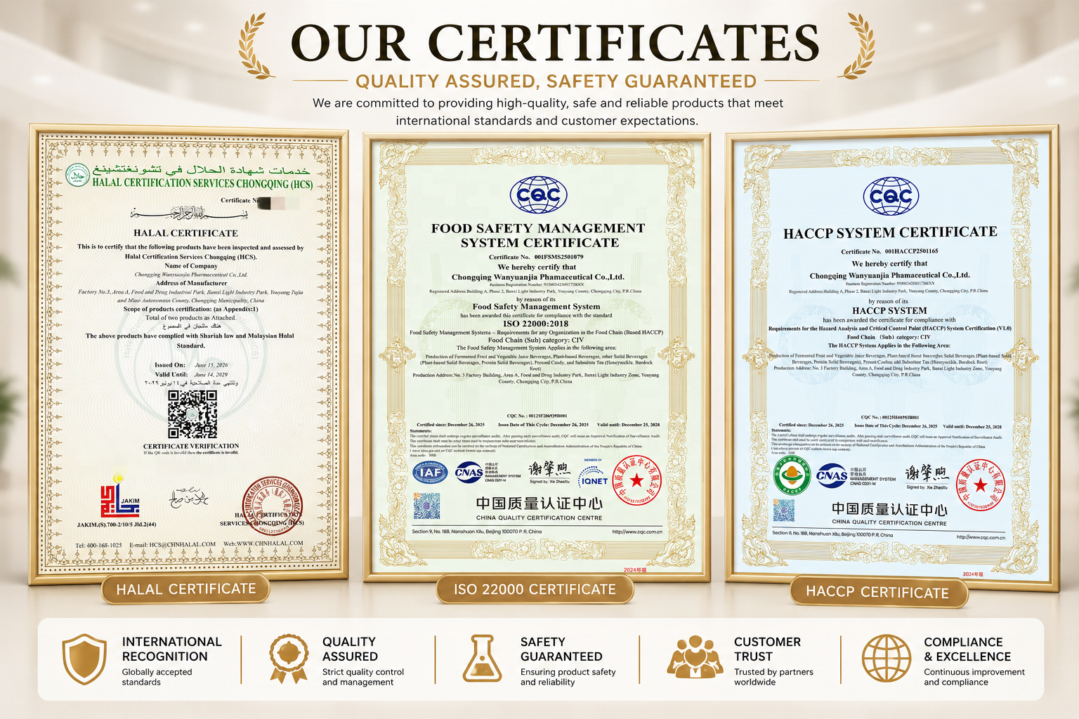 OEM Private Label Women's Beauty - Fermented Herbal Enzyme Liquid - Custom Formula for Skin Radiance &amp; Daily Wellness Support