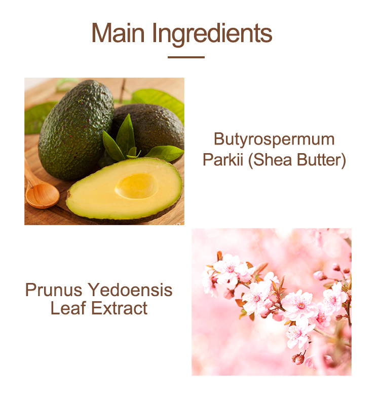 Body Scrub Details 5