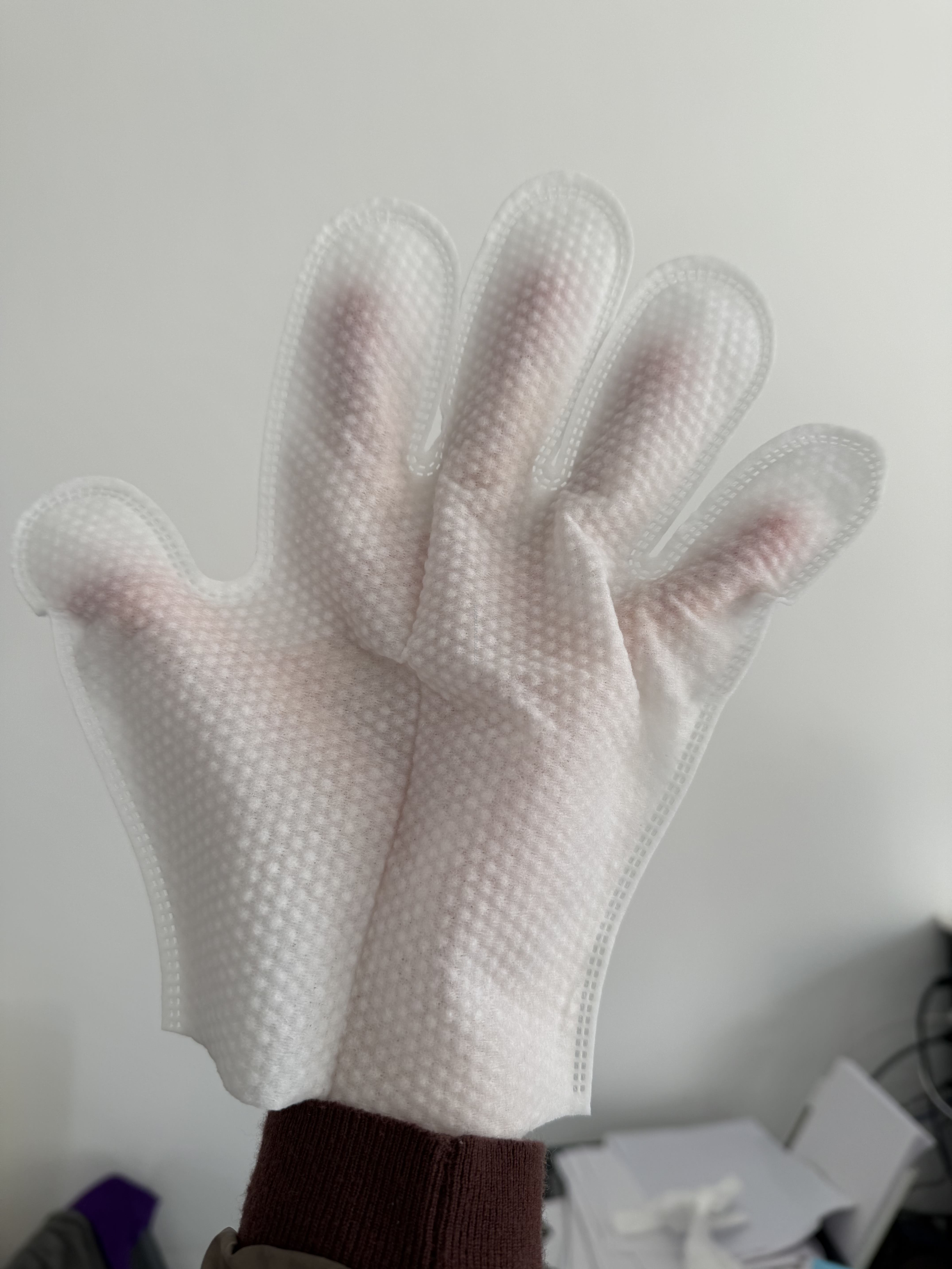 Waterless Wash Deodorizing Pet Wet Wipe Portable Individual Pack Gloves Pet Wipes Organic Pet Glove Wipes