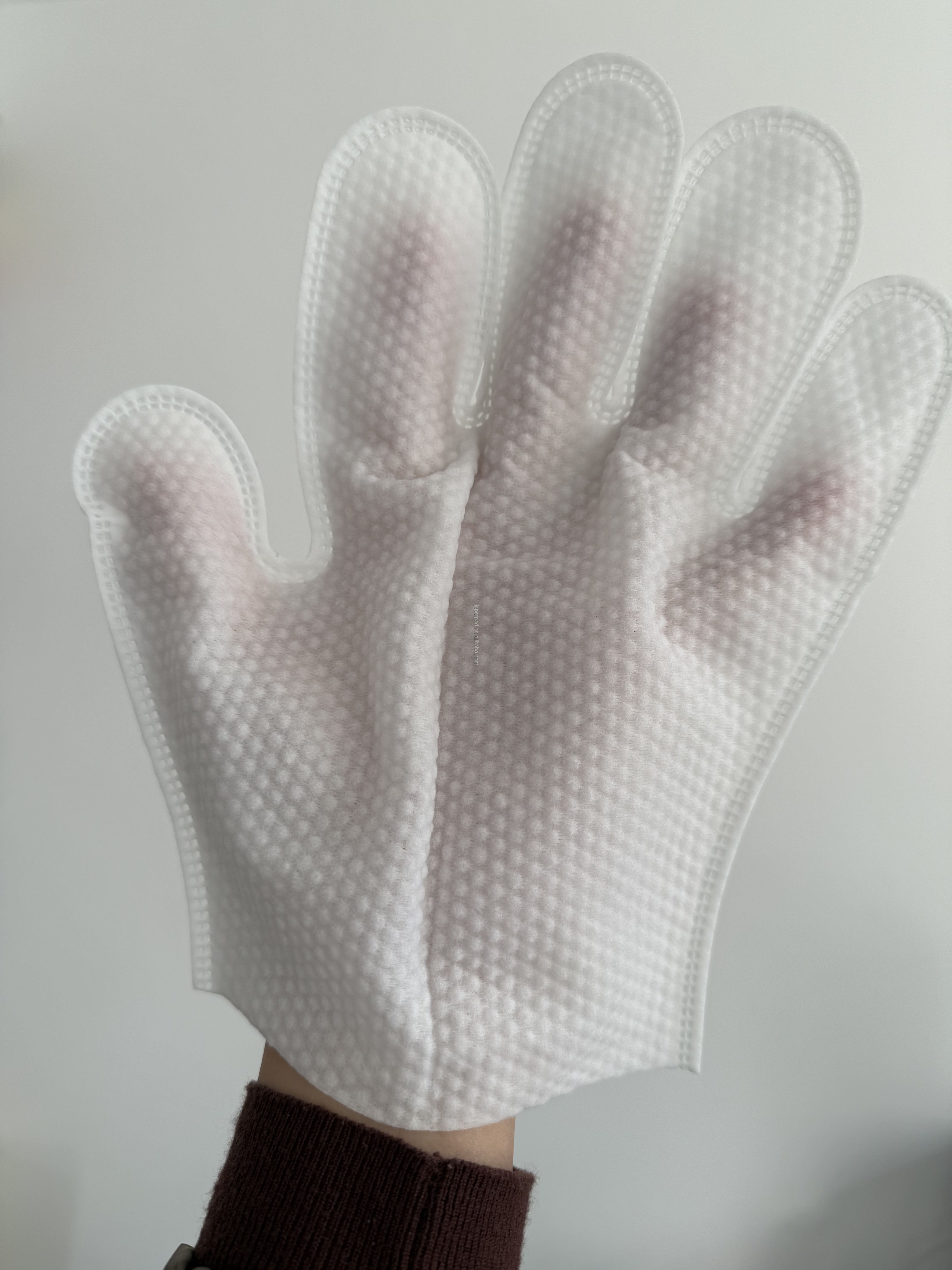 Waterless Wash Deodorizing Pet Wet Wipe Portable Individual Pack Gloves Pet Wipes Organic Pet Glove Wipes