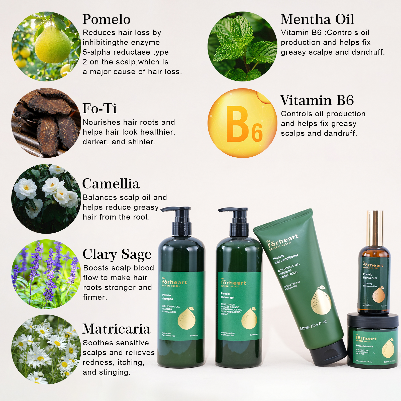 Custom Private Label Organic Natural Sulfate Free Vitamin B6 And Pomelo Shampoo And Conditioner For Stimulate Hair Growth