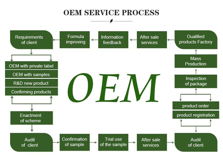Our Service Overview